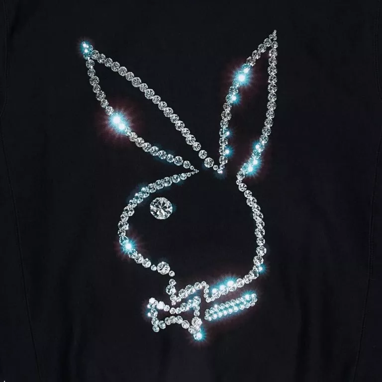 Camiseta Icy t-shirt Pleasures x Playboy