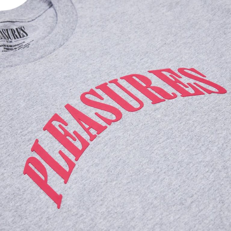 Camiseta Surprise tee Pleasures