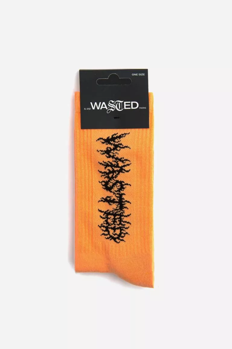 Calcetines Moterm socks Wasted Paris