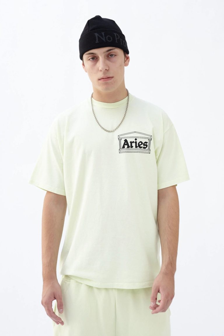 Comprar Camiseta Temple ss pastel green Aries Arise
